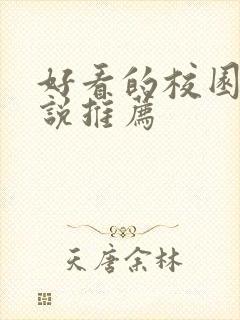 好看的校园文小说推荐封面