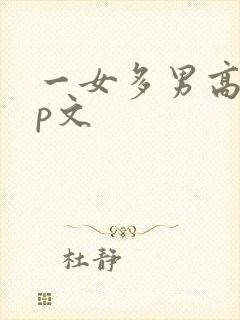 一女多男高hnp文