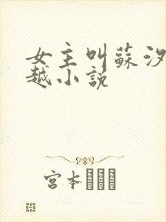 女主叫苏汐的穿越小说