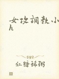 女攻调教小说高h