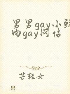 男男gay小鲜肉gay网站
