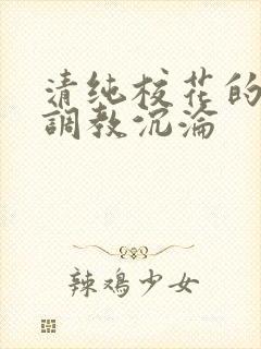 清纯校花的堕落调教沉沦封面