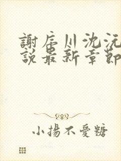 谢序川沈沅珠小说最新章节免费阅读