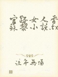 官路女人香聂飞苏黎小说.txt