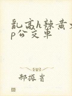 乱高h辣黄文np公交车