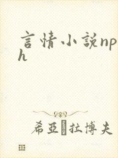 言情小说np高h