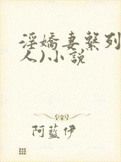 淫娇妻系列(多人)小说封面