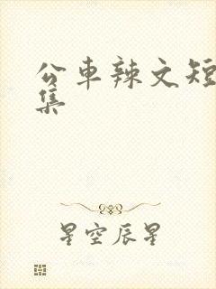 公车辣文短篇合集