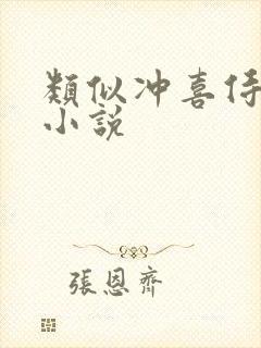 类似冲喜侍妾的小说