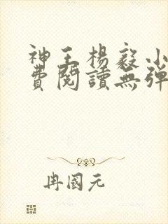 神王杨毅小说免费阅读无弹窗