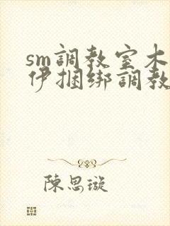 sm调教室木乃伊捆绑调教封面