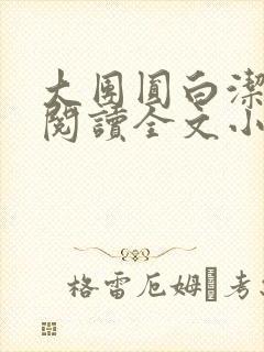 大团圆白洁免费阅读全文小说