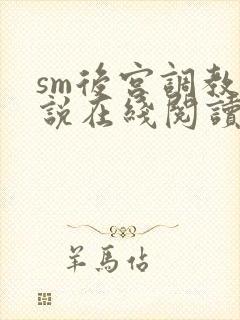 sm后宫调教小说在线阅读封面
