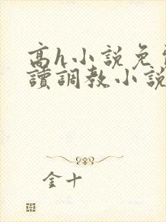 高h小说免费阅读调教小说免费阅读