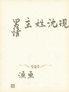 男主姓沈现代言情