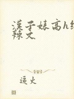 汉子婊高h纯肉辣文
