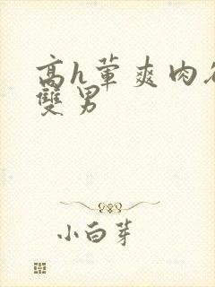 高h荤爽肉欲文双男