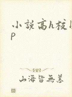 小说高h校园np