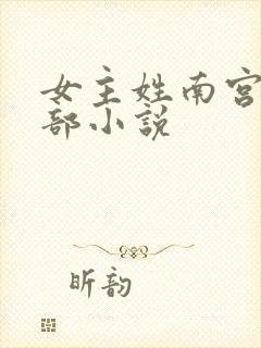女主姓南宫的全部小说封面