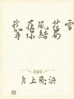 我在风花雪夜里等你结局封面