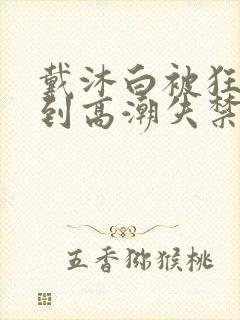 戴沐白被狂c躁到高潮失禁