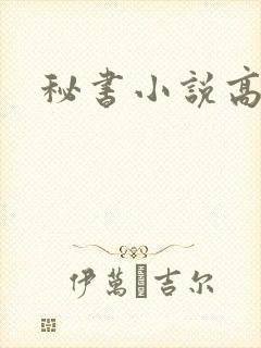 秘书小说高h