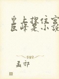 皇上捏住宫女的巨峰是小说改编吗