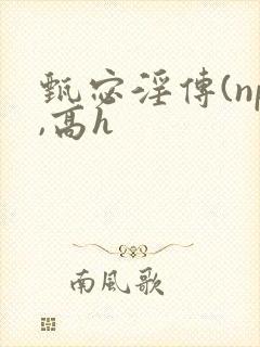 甄宓淫传(np,高h