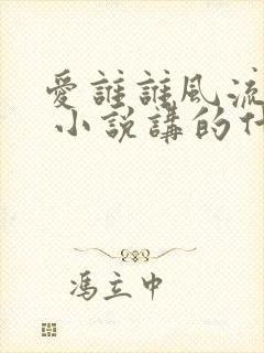 爱谁谁风流书呆 小说讲的什么封面