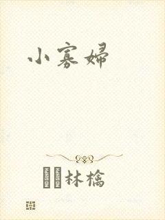 小寡妇封面
