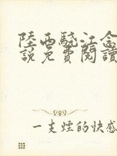 陆西骁江念知小说免费阅读最新章节封面