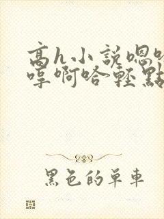 高h小说嗯哈嗯哼啊哈轻点