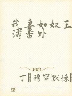 我妻如奴王琳和涛番外