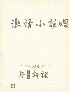 激情小说嗯嗯嗯