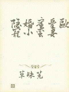 隐婚蜜爱欧少强宠小蛮妻