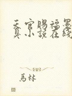 天官赐福墨香铜臭小说在线阅读免费