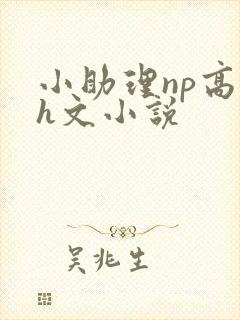 小助理np高辣h文小说