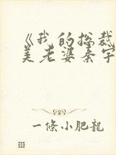 《我的总裁白富美老婆秦宇》