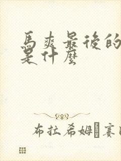 马爽最后的结局是什么封面