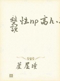 双性np高h小说