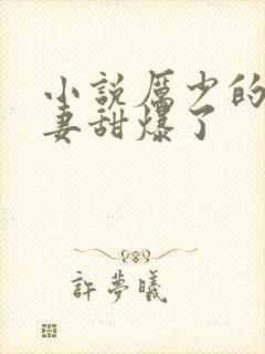 小说厉少的小娇妻甜爆了