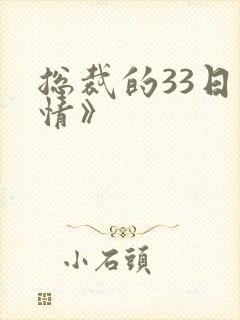 总裁的33日索情》