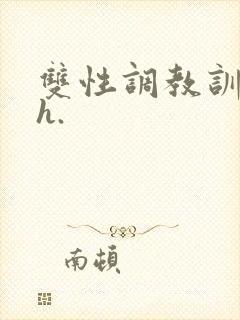 双性调教训诫文h.封面
