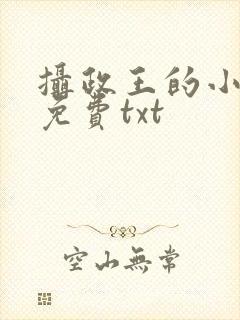 摄政王的小闲妻免费txt