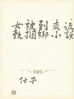 女被到爽流片调教捆绑小说封面