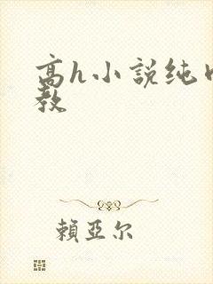 高h小说纯肉调教