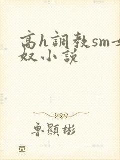 高h调教sm女奴小说