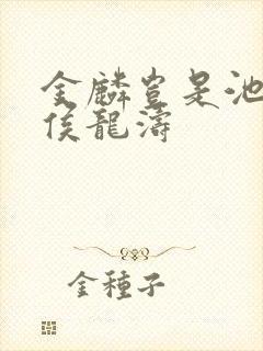 金麟岂是池中物侯龙涛封面