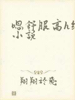 嗯舒服高h纯肉小说