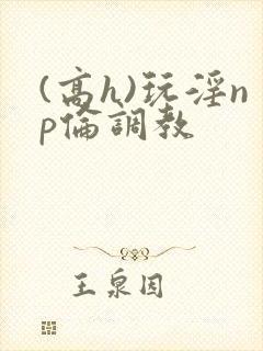 (高h)玩淫np伦调教